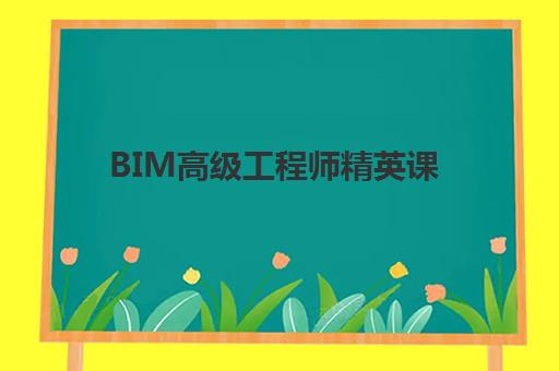 BIM高级工程师精英课 BIM高级工程师精英课
