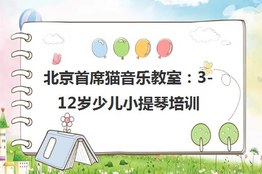 北京首席猫音乐教室 3-12岁少儿小提琴培训 英皇ABRSM音乐启蒙课程