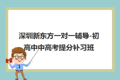 深圳新东方一对一辅导-初高中中高考提分补习班