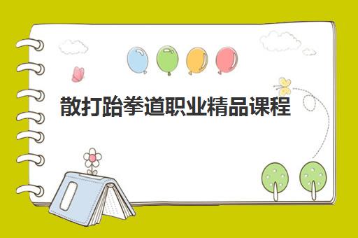 散打跆拳道职业精品课程 散打跆拳道职业精品课程