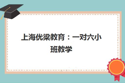 上海优梁教育 一对六小班教学 高效备考特色课程