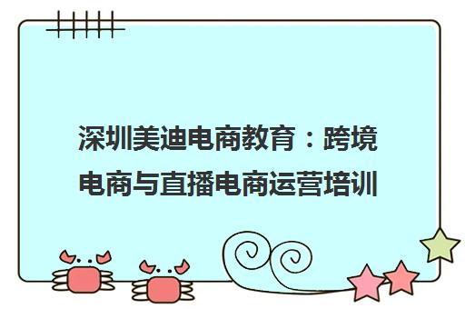 深圳美迪电商教育 跨境电商与直播电商运营培训课程