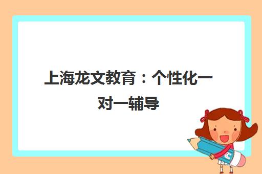 上海龙文教育 个性化一对一辅导 专注中小学课外辅导