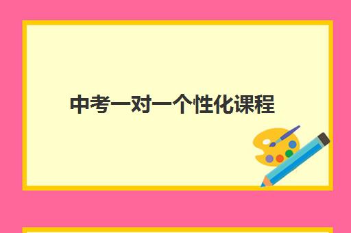 中考一对一个性化课程 中考一对一个性化课程