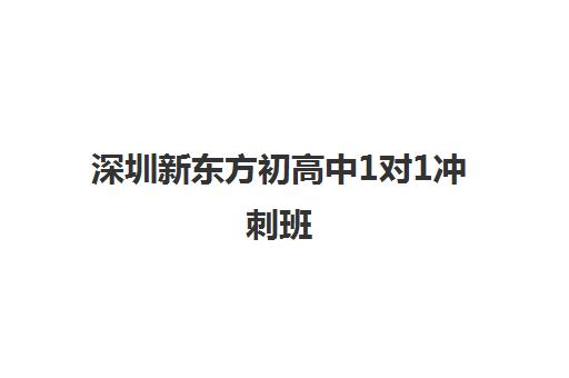 深圳新东方初高中1对1冲刺班 毕业师资助力中高考提分