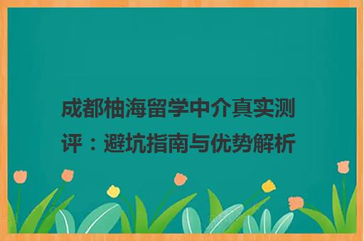 成都柚海留学中介真实测评 避坑指南与优势解析