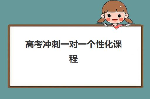 高考冲刺一对一个性化课程 高考冲刺一对一个性化课程