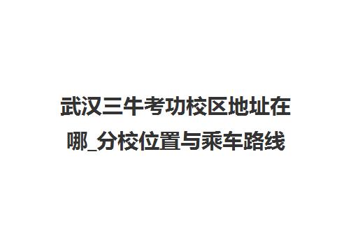 武汉三牛考功校区地址在哪_分校位置与乘车路线一览