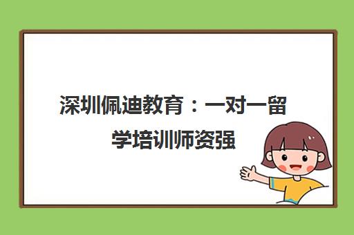 深圳佩迪教育 一对一留学培训师资强 收费价格合理