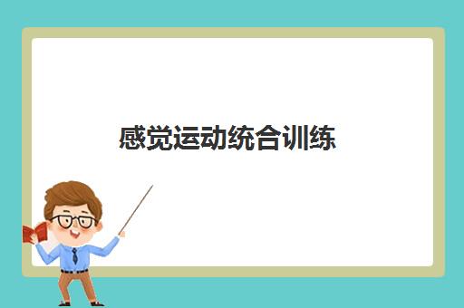 感觉运动统合训练