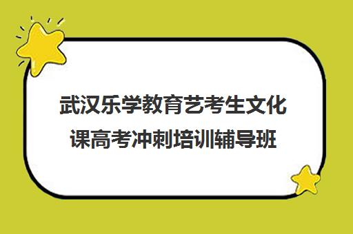 武汉乐学教育艺考生文化课高考冲刺培训辅导班
