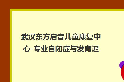 武汉东方启音儿童康复中心-专业自闭症与发育迟缓言语治疗机构