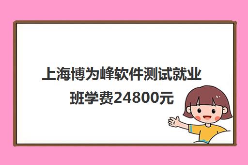 上海博为峰软件测试就业班学费24800元 2024火热招生