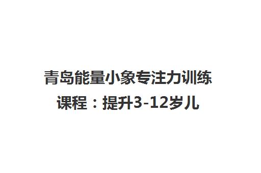 青岛能量小象专注力训练课程 提升3-12岁儿童学习效率