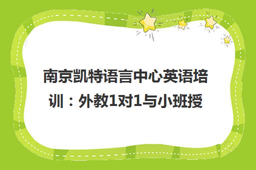 南京凯特语言中心英语培训 外教1对1与小班授课 量身定制课程