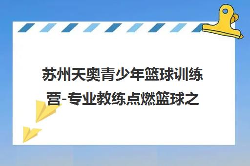 苏州天奥青少年篮球训练营-专业教练点燃篮球之火