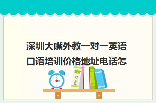 深圳大嘴外教一对一英语口语培训价格地址电话怎么样点评