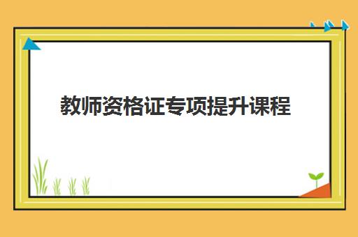 教师资格证专项提升课程 教师资格证专项提升课程