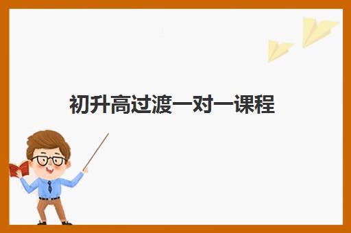 初升高过渡一对一课程