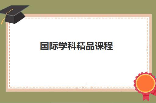 国际学科精品课程