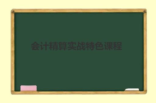 会计精算实战特色课程 会计精算实战特色课程