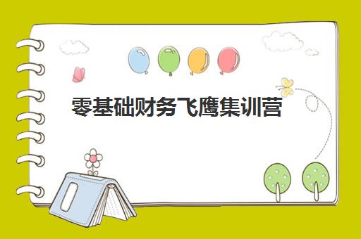 零基础财务飞鹰集训营 零基础财务飞鹰集训营