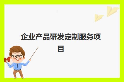 企业产品研发定制服务项目