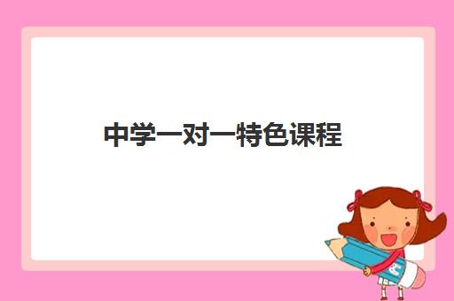 中学一对一特色课程 中学一对一特色课程