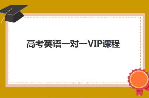 高考英语一对一VIP课程 高考英语一对一VIP课程