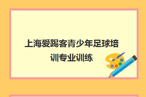 上海爱踢客青少年足球培训专业训练 全面提升孩子身体素质
