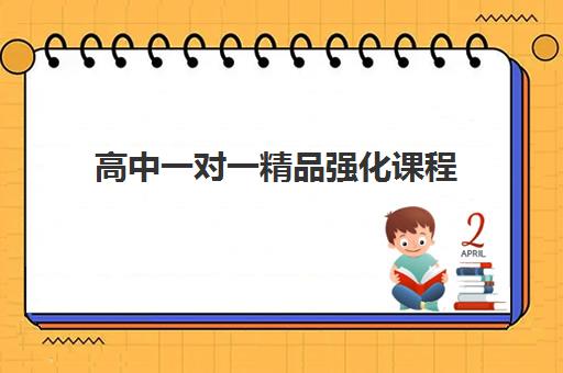 高中一对一精品强化课程 高中一对一精品强化课程
