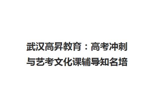 武汉高昇教育 高考冲刺与艺考文化课辅导知名培训机构