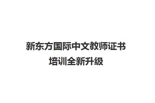 新东方国际中文教师证书培训全新升级 助力职业发展新机遇
