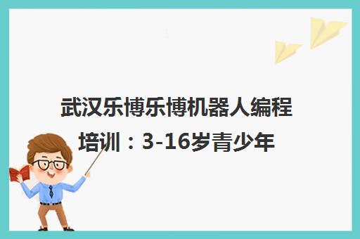 武汉乐博乐博机器人编程培训 3-16岁青少年科创教育优选