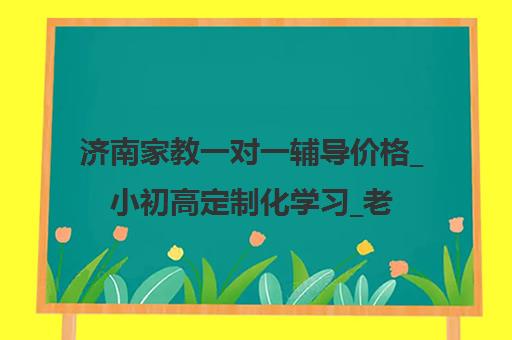 济南家教一对一辅导价格_小初高定制化学习_老师好教育