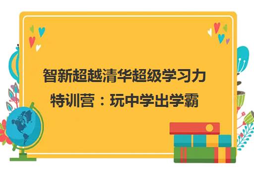 智新超越清华超级学习力特训营 玩中学出学霸