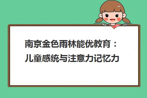南京金色雨林能优教育 儿童感统与注意力记忆力培训专家