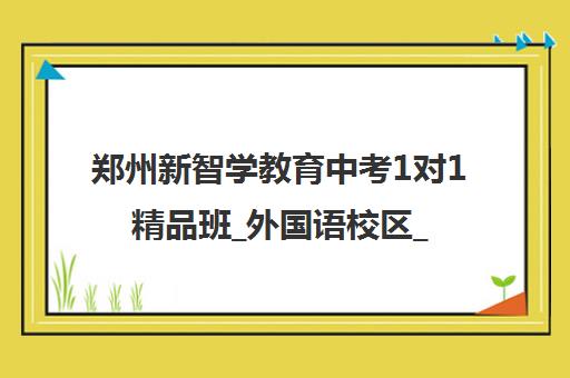 郑州新智学教育中考1对1精品班_外国语校区_费用地址课程介绍