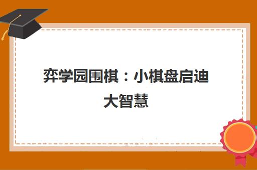 弈学园围棋 小棋盘启迪大智慧 赋能孩子终身成长的思维礼物