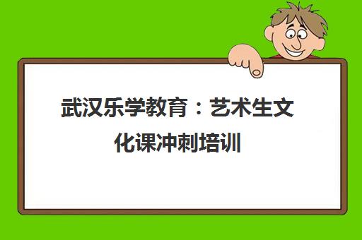 武汉乐学教育 艺术生文化课冲刺培训 实现高考逆袭