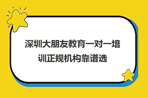 深圳大朋友教育一对一培训正规机构靠谱选