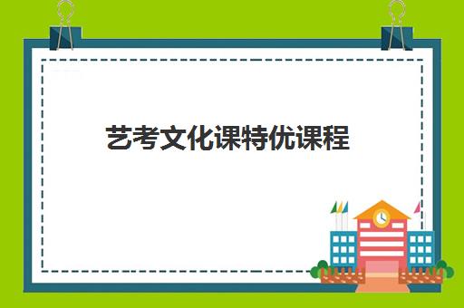 艺考文化课特优课程