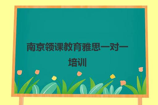 南京领课教育雅思一对一培训 个性化教学定制 南京领课教育雅思一对一培训 个性化教学定制