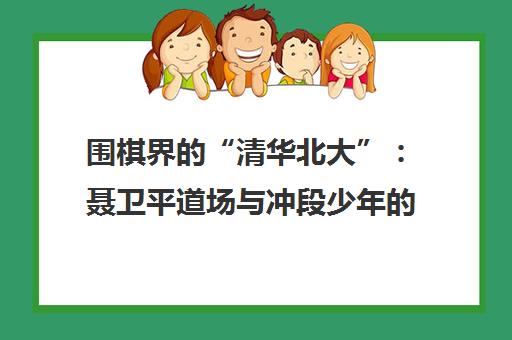 围棋界的“清华北大” 聂卫平道场与冲段少年的围棋高考路