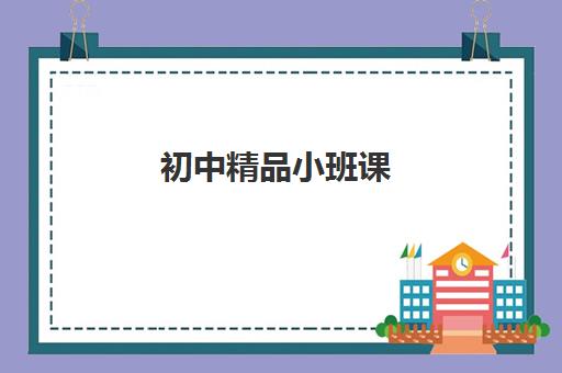 初中精品小班课 初中精品小班课