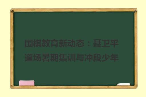 围棋教育新动态 聂卫平道场暑期集训与冲段少年成长故事