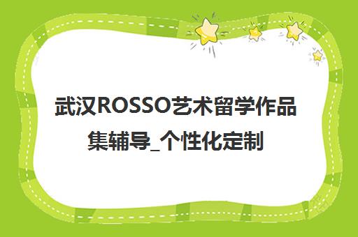 武汉ROSSO艺术留学作品集辅导_个性化定制课程_师资专业