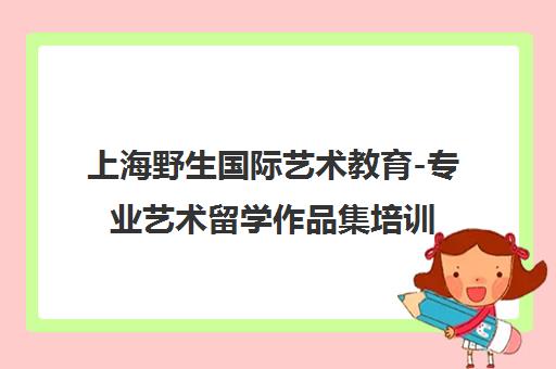 上海野生国际艺术教育-专业艺术留学作品集培训与时尚科系课程
