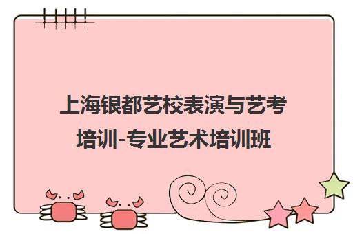 上海银都艺校表演与艺考培训-专业艺术培训班