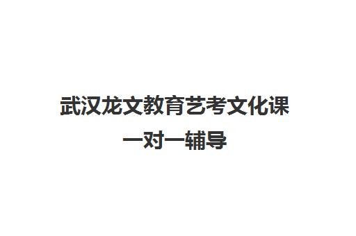 武汉龙文教育艺考文化课一对一辅导 个性化助学助力冲刺高考